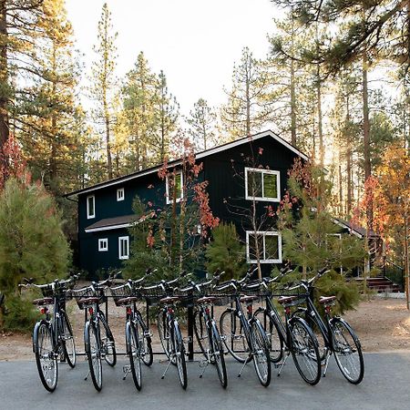 Np Boutique Lodge بيغ بير لاكي، سان بيرناردينو، كاليفورنيا المظهر الخارجي الصورة