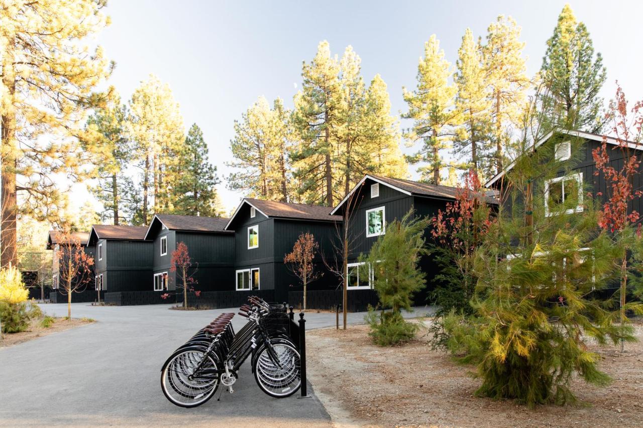 Np Boutique Lodge بيغ بير لاكي، سان بيرناردينو، كاليفورنيا المظهر الخارجي الصورة